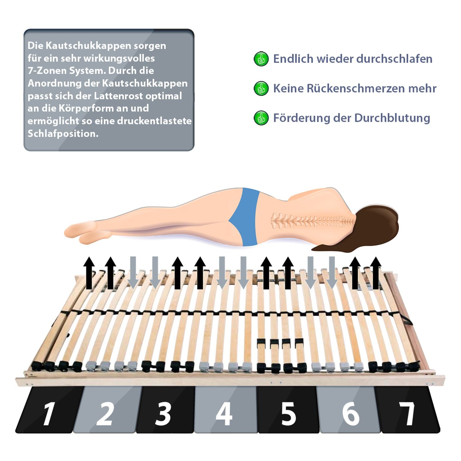 Coemo Lattenrost ERGO KF mit 7 Liegezonen